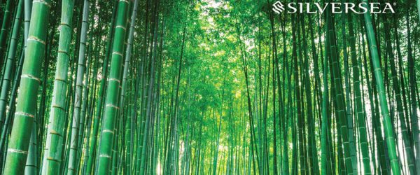 BUY NOW! NEW SILVERSEA CERTIFICATE A US$ 1,000 CERTIFICATE = US$ 1,250 IN VALUE